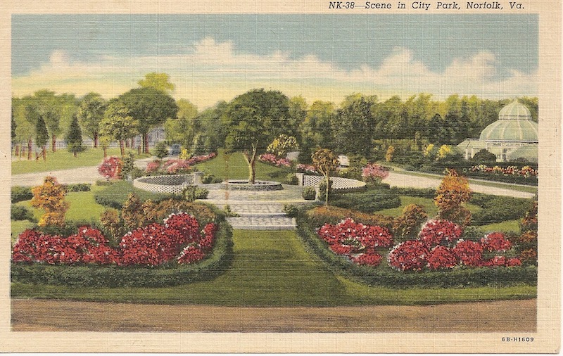 Scene at City Park Postcard