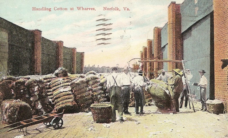 Handling Cotton at Wharves Postcard