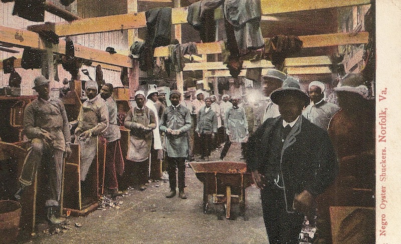 Negro Oyster Shuckers Postcard