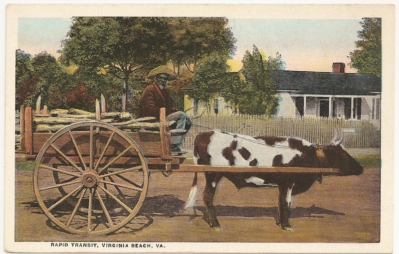 The Arlington  Postcard